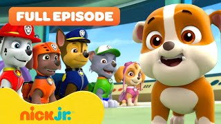 Rubble Joins the PAW Patrol and the Pups Save a Walrus  FULL EPISODES  Nick Jr [upl. by Atims988]