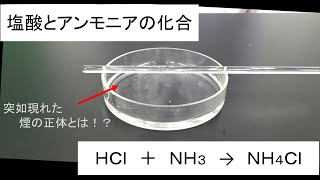 実験 塩酸とアンモニアの化合 ゆっくり実験解説 [upl. by Chrotoem]