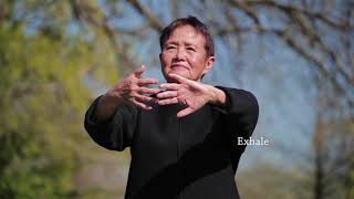 Qigong Full 20Minute Daily Routine [upl. by Belle]