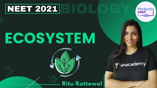 Ecosystem  NEET Biology  NEET 2021  Ritu Rattewal [upl. by Diraf]