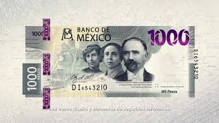 Billete de 1000 pesos de la familia G  Revolución Mexicana [upl. by Lear526]