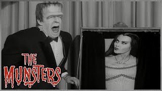 Herman The Magnificent  The Munsters [upl. by Munshi]