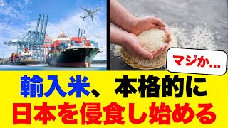 輸入米、本格的に日本を侵食し始める [upl. by Guria]