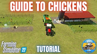 GUIDE TO CHICKENS  Farming Simulator 22 [upl. by Aivila418]