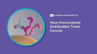 How Monoclonal Antibodies Treat Cancer [upl. by Poppo]