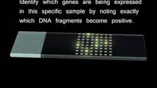 Microarrays [upl. by Javed]