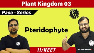 Plant Kingdom 03  Pteridophyte  Class 11  NEET  PACE SERIES [upl. by Acireed746]