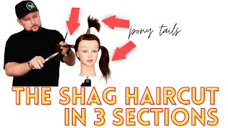 HOW TO CUT A SHAG HAIRCUT IN 3 SECTIONS  TIKTOK TREND SHAG HAIRCUT  shag mullet wolf cut [upl. by Martyn]