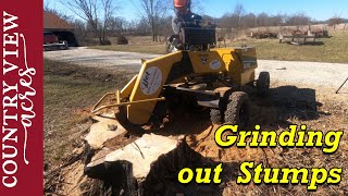 Removing Stumps with a Stump Grinder [upl. by Ardaid]