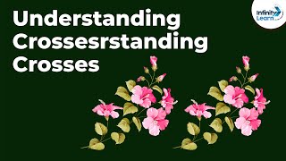 Genetics  Understanding Crosses  Lesson 6  Dont Memorise [upl. by Assilana]