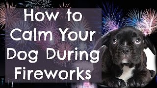 How To Calm A Dog During Fireworks [upl. by Oskar341]