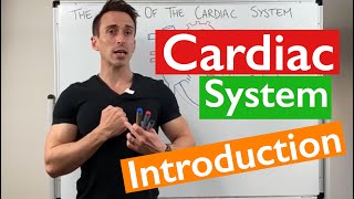 Introduction to the Cardiac System [upl. by Stefano]