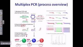 PCR types [upl. by Nhguavahs]