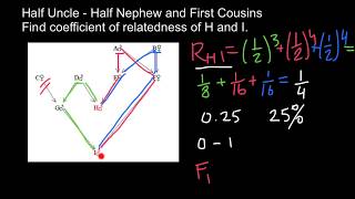 How to Find Relatedness and Inbreeding Coefficient practice problem [upl. by Vaules]