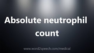 Absolute neutrophil count  Medical Meaning [upl. by Ennazus]