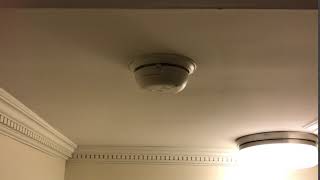 Smoke Detector Chirp [upl. by Rosel]