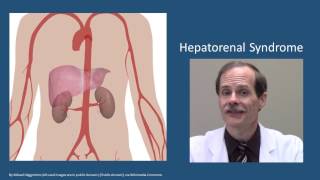 Hepatorenal syndrome [upl. by Chapel663]