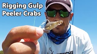 How to Rig Gulp Peeler Crabs For Redfish amp Black Drum [upl. by Colman]