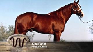 AQHA 75Year Breeder Salute [upl. by Fortuna]