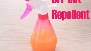 DIY CAT REPELLENT [upl. by Lentha968]