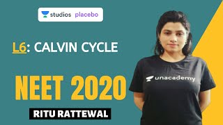 L6 Calvin Cycle  Photosynthesis Complete NCERT Review  NEET 2020 [upl. by Isidor114]