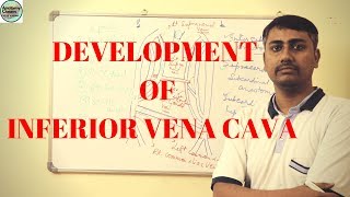 Development of Inferior Vena Cava [upl. by Alyakim]