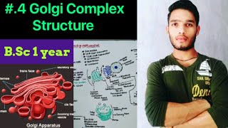 Golgi complex structure and function [upl. by Arny]