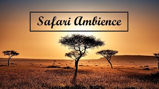 SAFARI AMBIENCE  Background music in the wilderness [upl. by Olraced617]