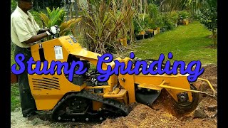 Stump Grinding Using Vermeer SC30TX Grinder [upl. by Abigale]