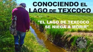 Conociendo los bordos del Lago de Texcoco [upl. by Sylirama]