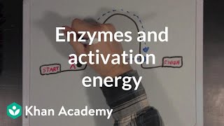 Enzymes and activation energy  Biomolecules  MCAT  Khan Academy [upl. by Bob]