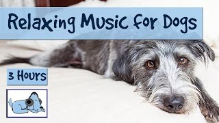 3 Hours of Relaxation Music for Dogs Calm Them During Firework Displays and Thunderstorms [upl. by Aleit264]