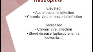 White Blood Cell Count WBC and Differential  Holistic Interpretation [upl. by Fem91]