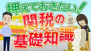 貿易初心者必見！関税の基礎について詳しく解説しました。 [upl. by Teodora]