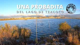 Una probadita del Lago de Texcoco [upl. by Atekihs]