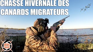 Chasse Hivernale des Canards Migrateurs   Marius Chasse [upl. by Sollows35]