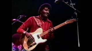 Albert Collins  Cold Cold Feeling 1981 [upl. by Suzetta]