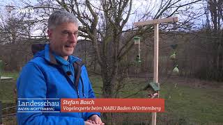 Vögel brauchen einen quotwildenquot Garten [upl. by Zosema]