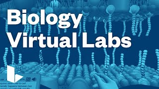 Labster Biology Virtual Labs [upl. by Marketa]