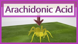 Arachidonic Acid Pathway Mnemonic [upl. by Ilowell]