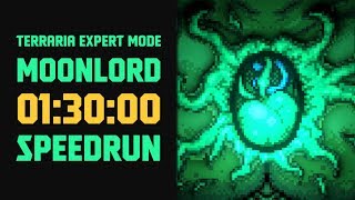 Terraria  Expert Mode Speedrun Moonlord in 90 minutes no major glitches [upl. by Koblick]