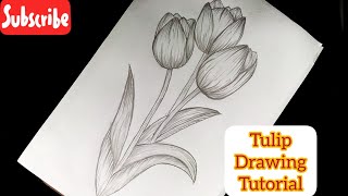 Easy Tulips Drawing For Beginners  Flower Drawing [upl. by Jock210]