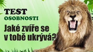 TEST OSOBNOSTI  Zjisti jaké zvíře se v tobě ukrývá [upl. by Mendez]