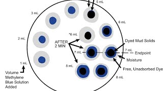 11 Methelene Blue Test MBT [upl. by Godding]