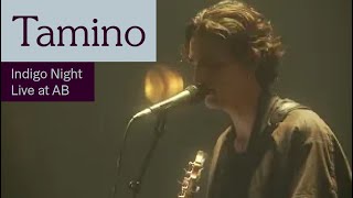 Tamino  Indigo Night Live at AB  Ancienne Belgique [upl. by Volkan718]