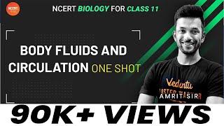 Body Fluids and Circulation  One Shot  CBSE Biology for Class 11  Amrit Raj  Vedantu 11 and 12 [upl. by Ansela419]