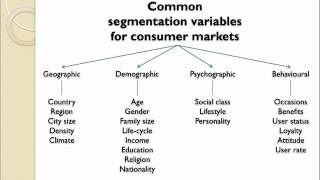 Market Segmentation Introduction [upl. by Ahtamat]