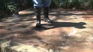 How to Stain Concrete [upl. by Fronniah]