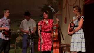 12 Foghorn Stringband 20140118 Distant Land To Roam [upl. by Wira959]