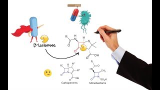 Pharmacology – ANTIBIOTICS – CELL WALL amp MEMBRANE INHIBITORS MADE EASY [upl. by Petit973]